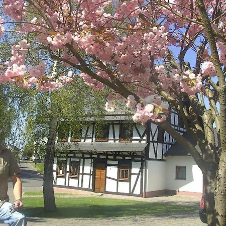 Ferienhaus Schmitt Beltheim المظهر الخارجي الصورة