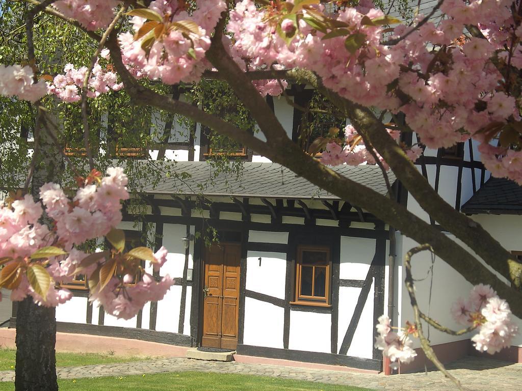 Ferienhaus Schmitt Beltheim المظهر الخارجي الصورة